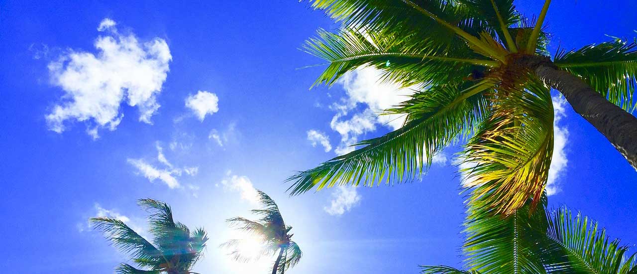 Dónde Dormir en la Isla Grande, Hawaii: Mejores Zonas y Alojamientos